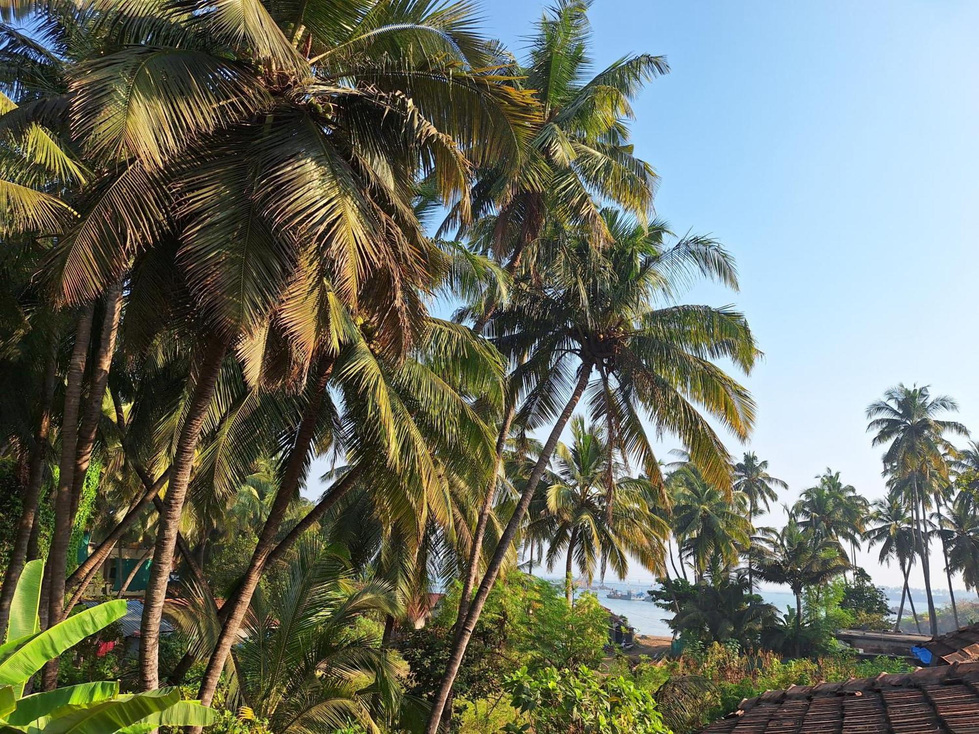 Anand Nivas Homestay Malvan Exterior photo